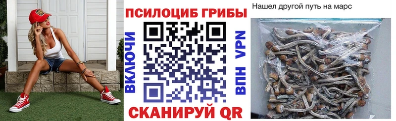 что такое наркотик Заринск Псилоцибиновые грибы Magic Shrooms