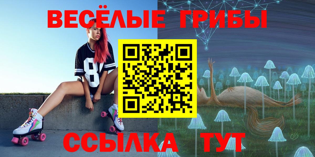 Псилоцибиновые грибы Psilocybine cubensis  Вход с VPN  Заринск  Псилоцибиновые грибы ЛСД 